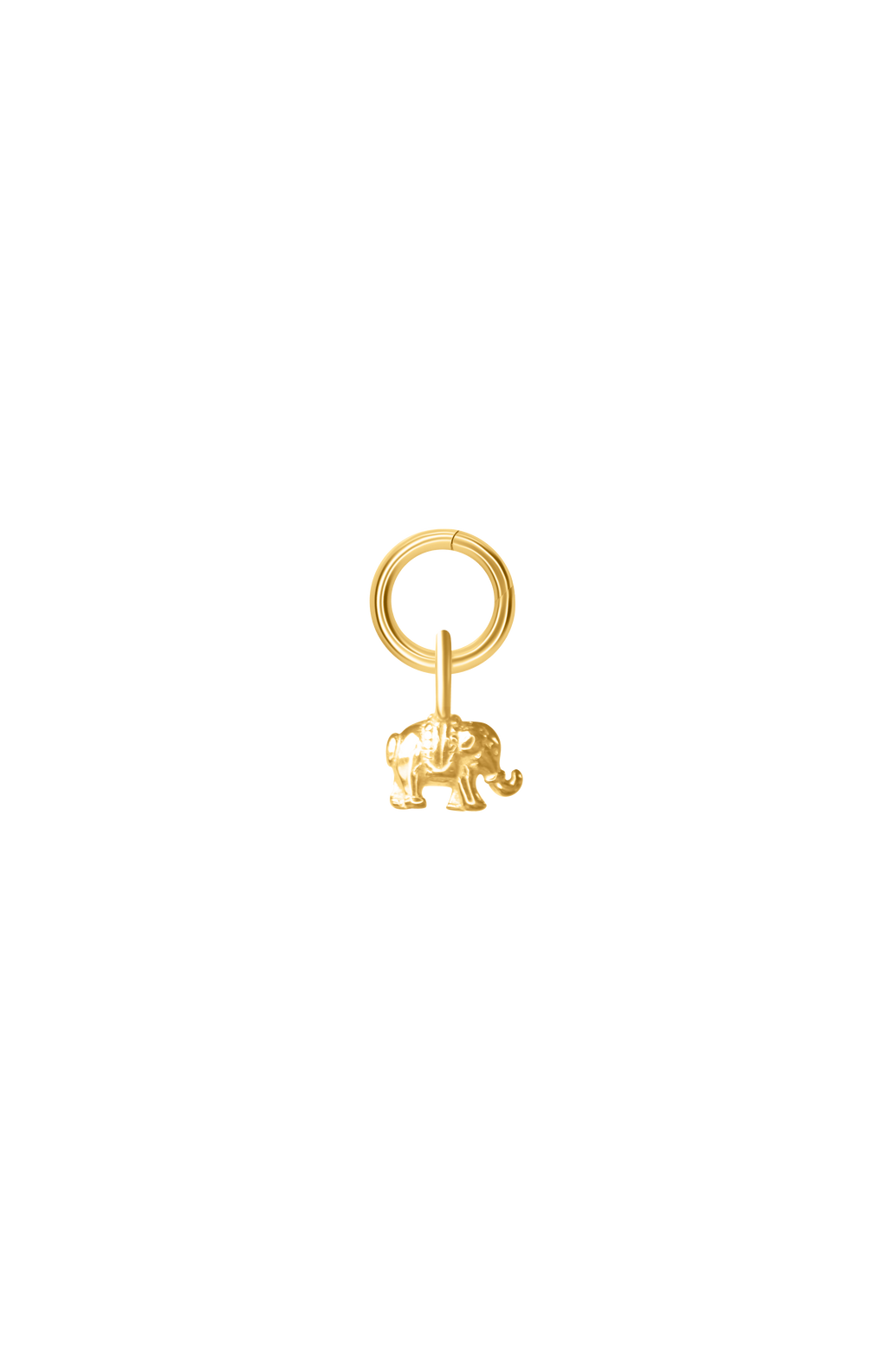 Elephant Charm