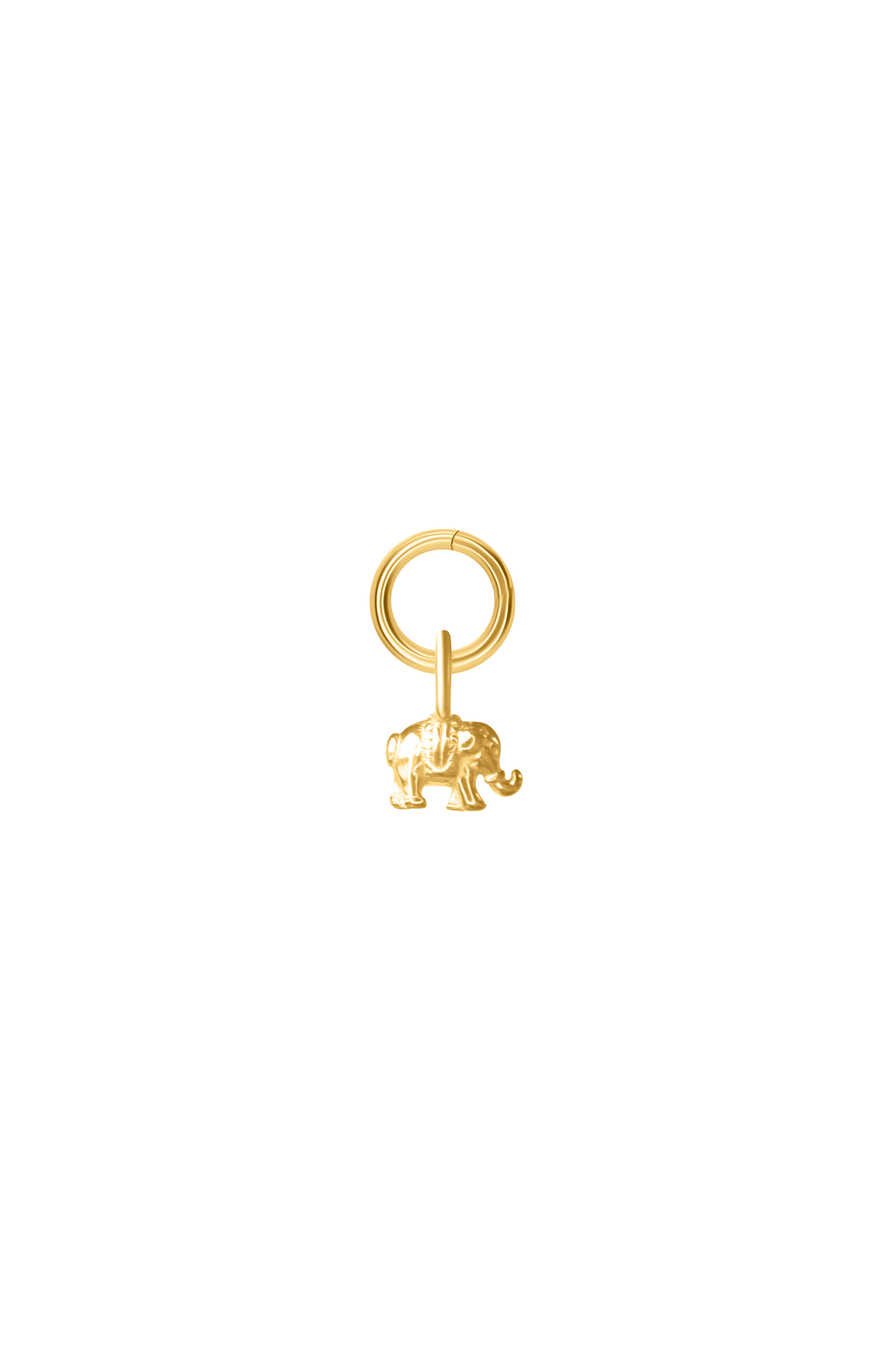 Elephant Charm