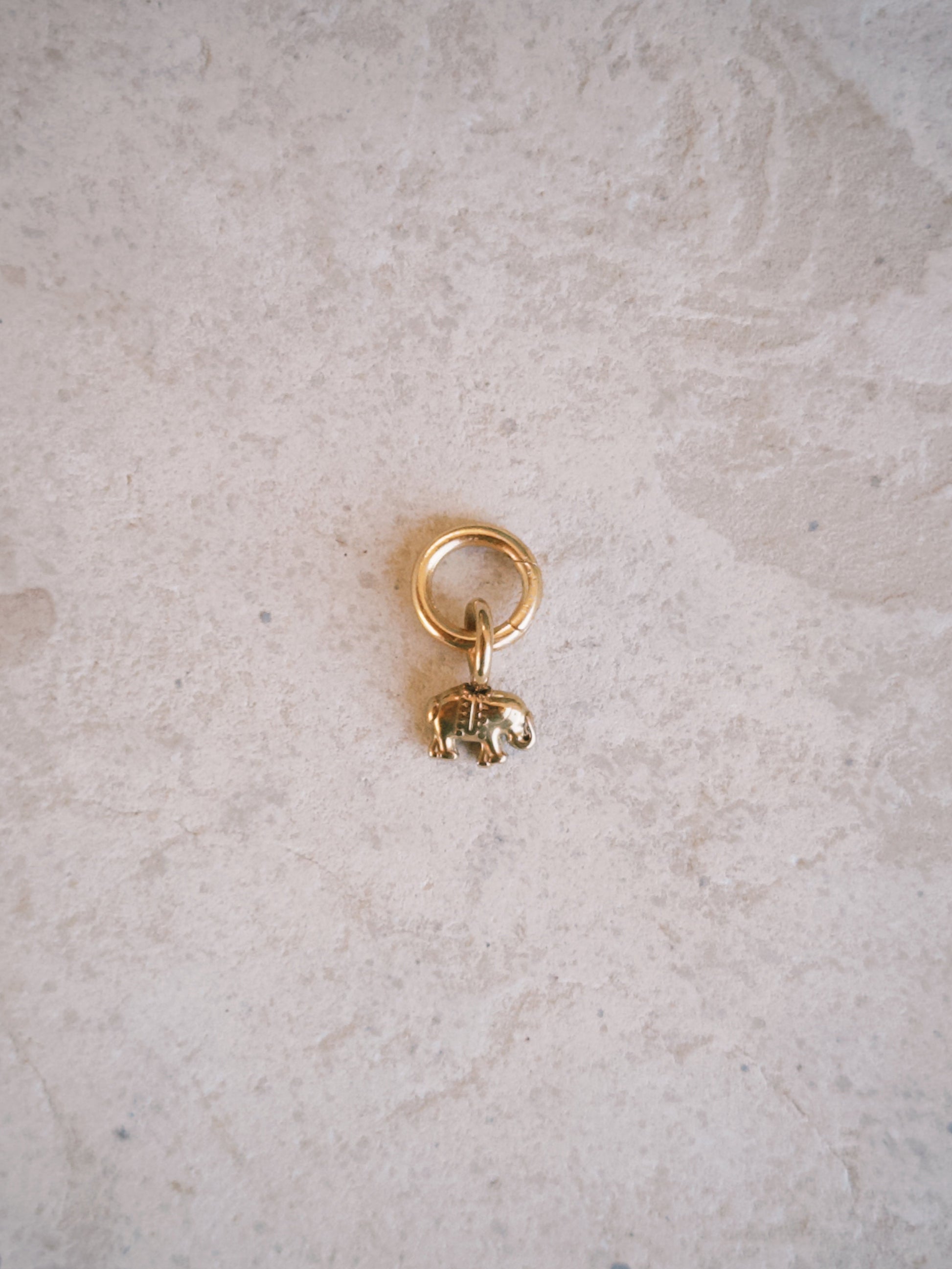 Elephant Charm