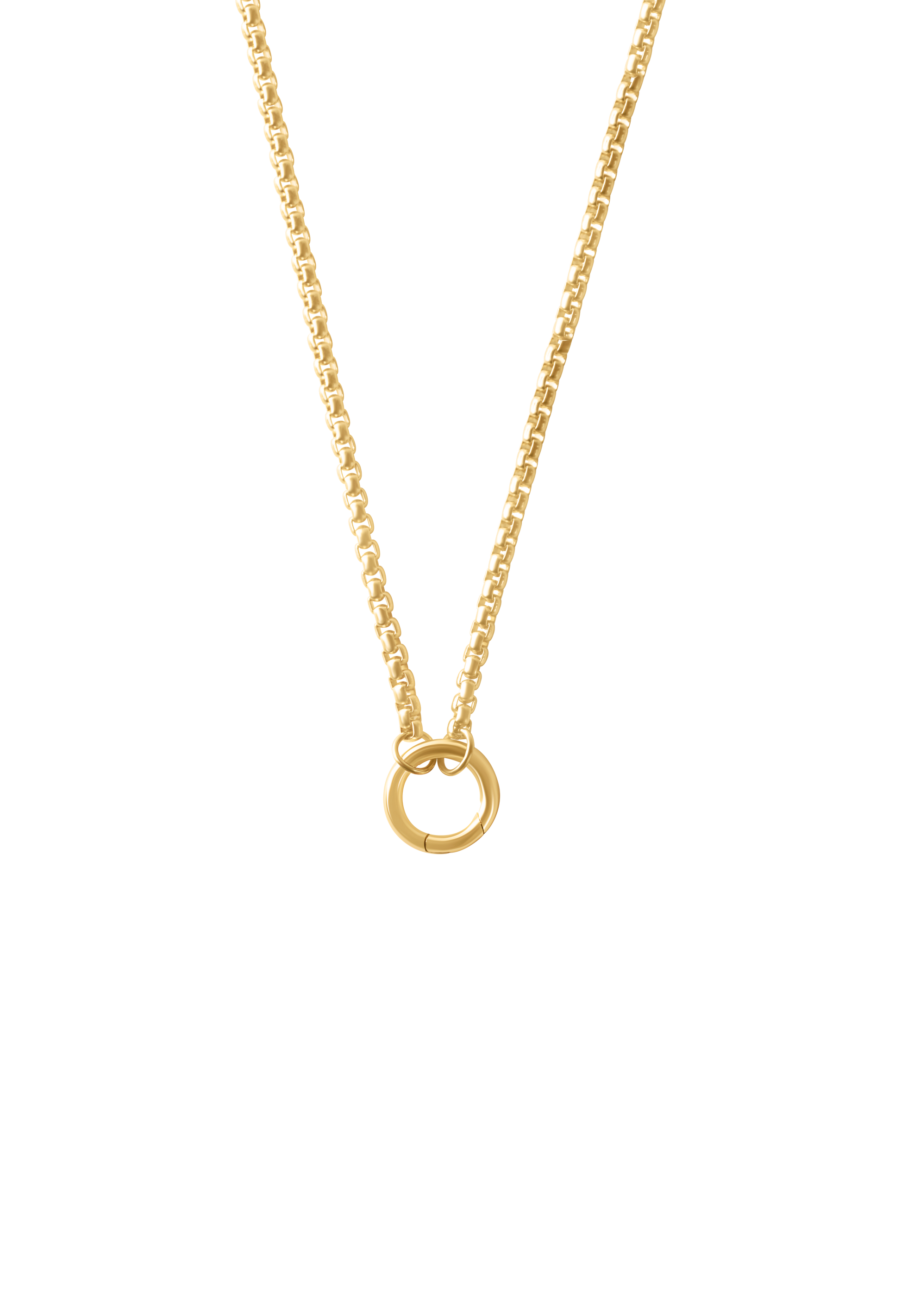 The Collectors Necklace