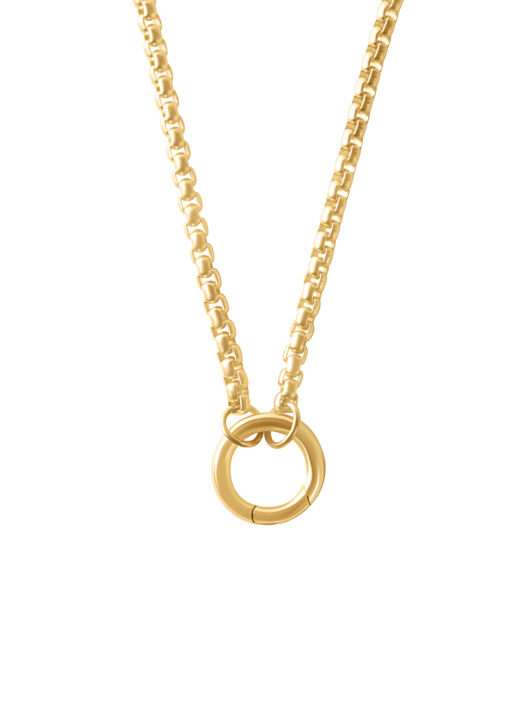 The Collectors Necklace
